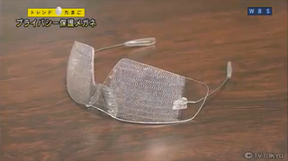 Illustration for article titled Japan's "Privacy Visor" Offers Internet Privacy and Incessant Giggles